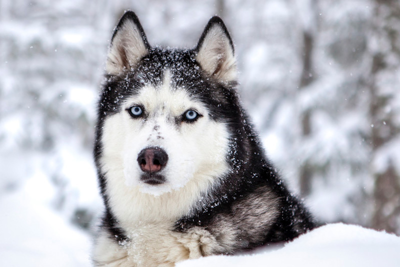 Laerchenhof_Angebote_Winter_Dezember